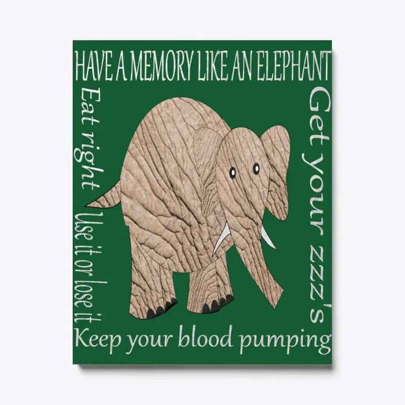 HAVE A MEMORY LIKE AN ELEPHANT